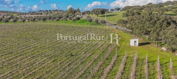 Земельный участок с 4 спальнями в Авиш, Португалия № 128593 5