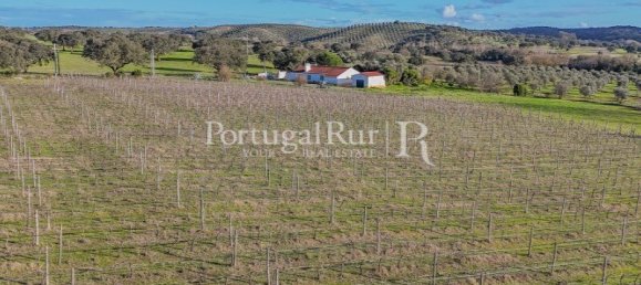 Земельный участок с 4 спальнями в Авиш, Португалия № 128593 11