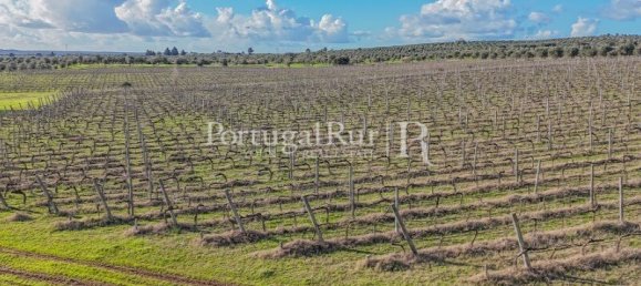 Земельный участок с 4 спальнями в Авиш, Португалия № 128593 3