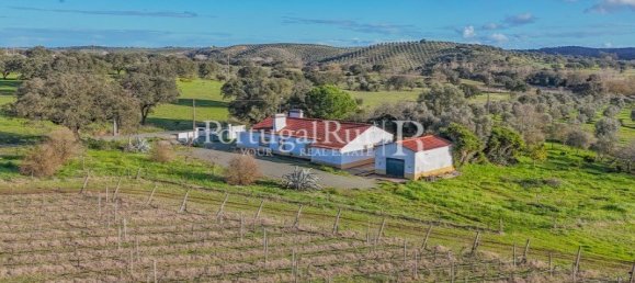 Земельный участок с 4 спальнями в Авиш, Португалия № 128593 12