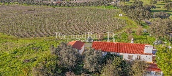 Земельный участок с 4 спальнями в Авиш, Португалия № 128593 16