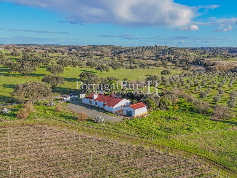 Земельный участок с 4 спальнями в Авиш, Португалия № 128593