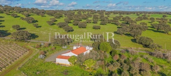 Земельный участок с 4 спальнями в Авиш, Португалия № 128593 19