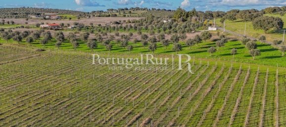 Земельный участок с 4 спальнями в Авиш, Португалия № 128593 21