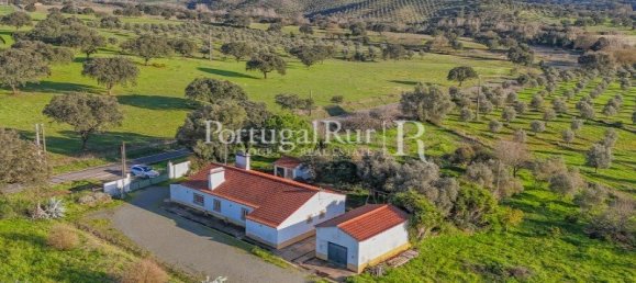 Земельный участок с 4 спальнями в Авиш, Португалия № 128593 20