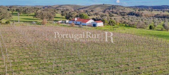 Земельный участок с 4 спальнями в Авиш, Португалия № 128593 7