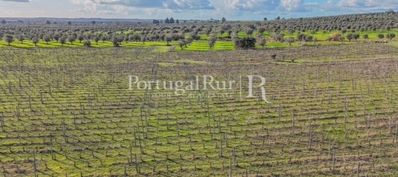 Земельный участок с 4 спальнями в Авиш, Португалия № 128593 9