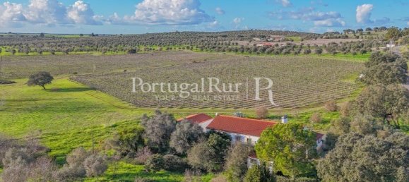 Земельный участок с 4 спальнями в Авиш, Португалия № 128593 14