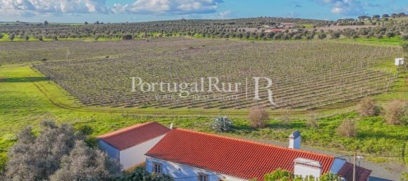 Земельный участок с 4 спальнями в Авиш, Португалия № 128593 22