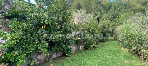 3 غرف نوم فيلا في Podenzana, Italy رقم 349457 44