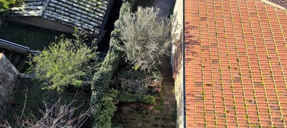 6 rooms Apartment in Torrita di Siena, Italy No. 115539 43