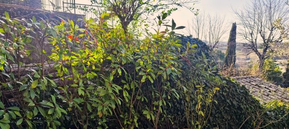 6 rooms Apartment in Torrita di Siena, Italy No. 115539 17