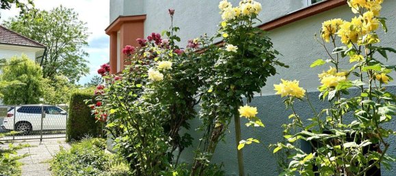 12 rooms Townhouse in Wels, Austria No. 135789 13