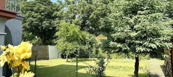 12 rooms Townhouse in Wels, Austria No. 135789 2