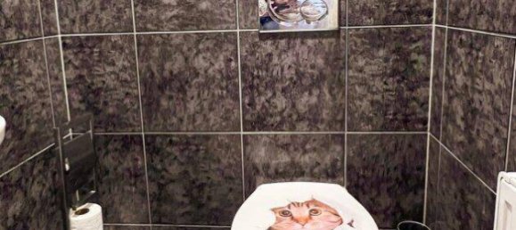 2-salle Appartement à Pfaffstatten, Austria No. 142353 7