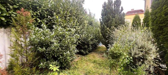 9 rooms House in Liesing, Austria No. 119443 2