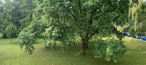 1 غرف نوم شقة في Lower Saxony, Germany رقم 277652 3