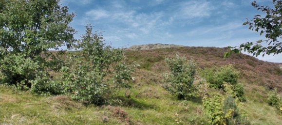 5-salle Maison de ville à Nordfriesland, Germany No. 40895 4