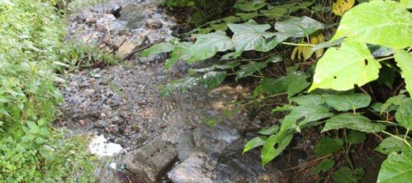  قطعة أرض في Pilgersdorf, Austria رقم 91916 3