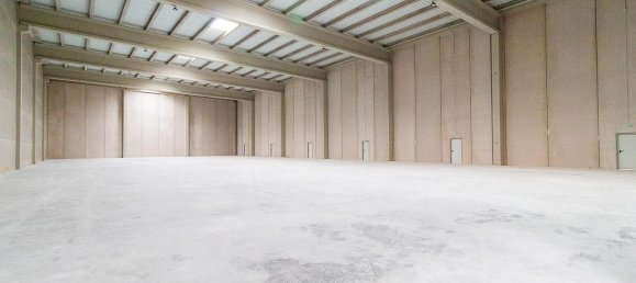  مستودع في Naquera, Spain 3900متر مربع رقم 142590 4