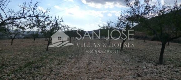  قطعة أرض في Hondon De Las Nieves, Spain 12000متر مربع رقم 21300 3