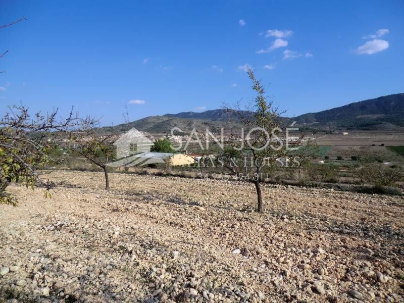  قطعة أرض في Hondon De Las Nieves, Spain 12000متر مربع رقم 21300