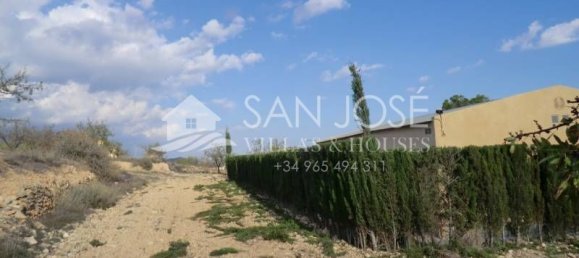  قطعة أرض في Hondon De Las Nieves, Spain 12000متر مربع رقم 21300 4