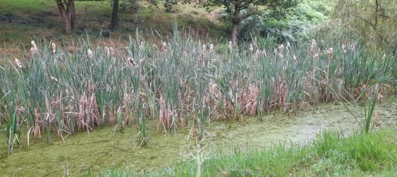 3 bedrooms House in Seine-Maritime, France No. 307011 7