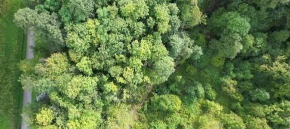 10غرفة منزل في Alpago, Italy رقم 295370 8