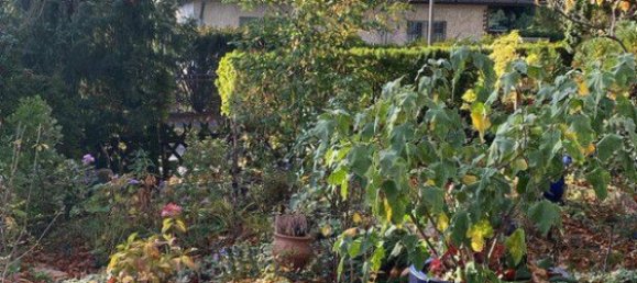 4 chambres Maison de ville à Wannsee, Germany No. 340763 17