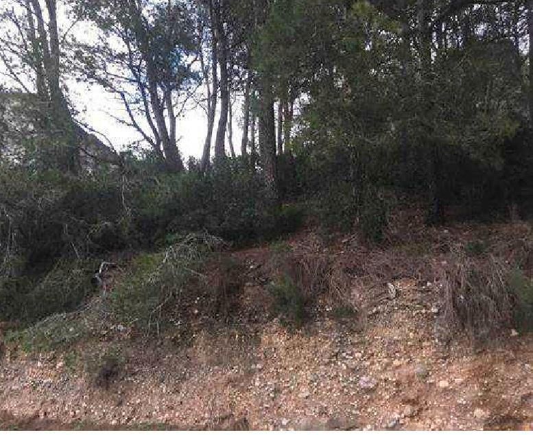  قطعة أرض في Masquefa, Spain 483متر مربع رقم 159549