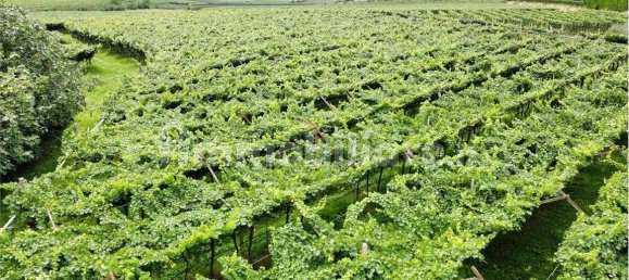 12000m² Land in Dro, Italy No. 284642 11