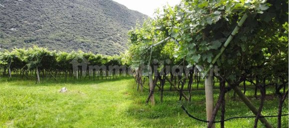 12000m² Land in Dro, Italy No. 284642 9