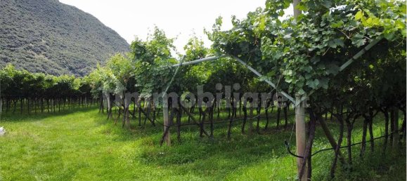 12000m² Land in Dro, Italy No. 284642 12