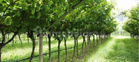 12000m² Land in Dro, Italy No. 284642 13