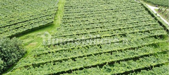 12000m² Land in Dro, Italy No. 284642 3