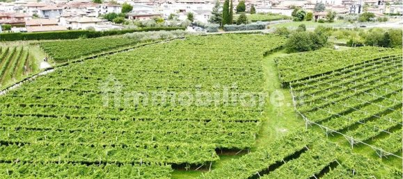 12000m² Land in Dro, Italy No. 284642 18