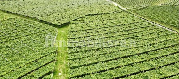 12000m² Land in Dro, Italy No. 284642 7