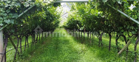 12000m² Land in Dro, Italy No. 284642 16