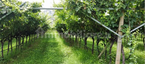 12000m² Land in Dro, Italy No. 284642 15