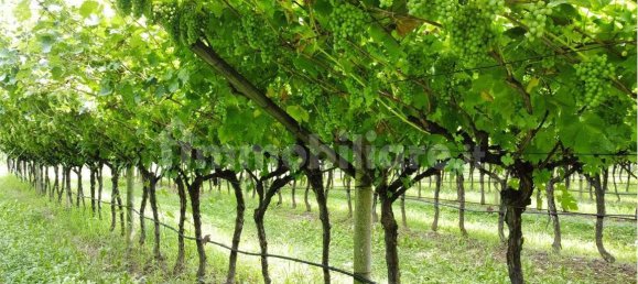 12000m² Land in Dro, Italy No. 284642 14