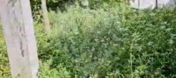 1 bedroom House in Almeirim, Portugal No. 24801 4