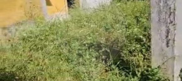 1 bedroom House in Almeirim, Portugal No. 24801 5