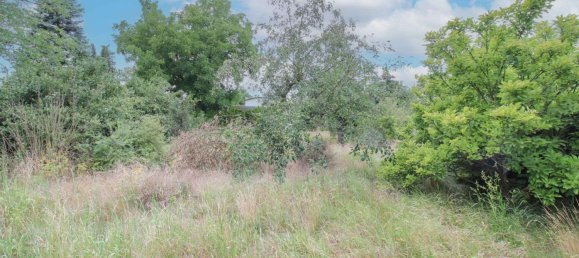  Land in Markisch-Oderland, Germany No. 238283 11