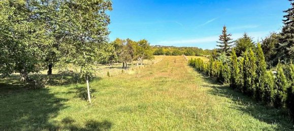 7 rooms House in Enzesfeld-Lindabrunn, Austria No. 20776 19