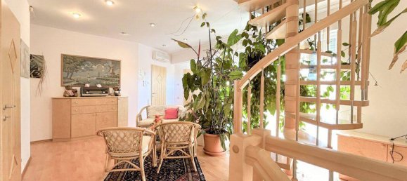 7 rooms House in Enzesfeld-Lindabrunn, Austria No. 20776 9