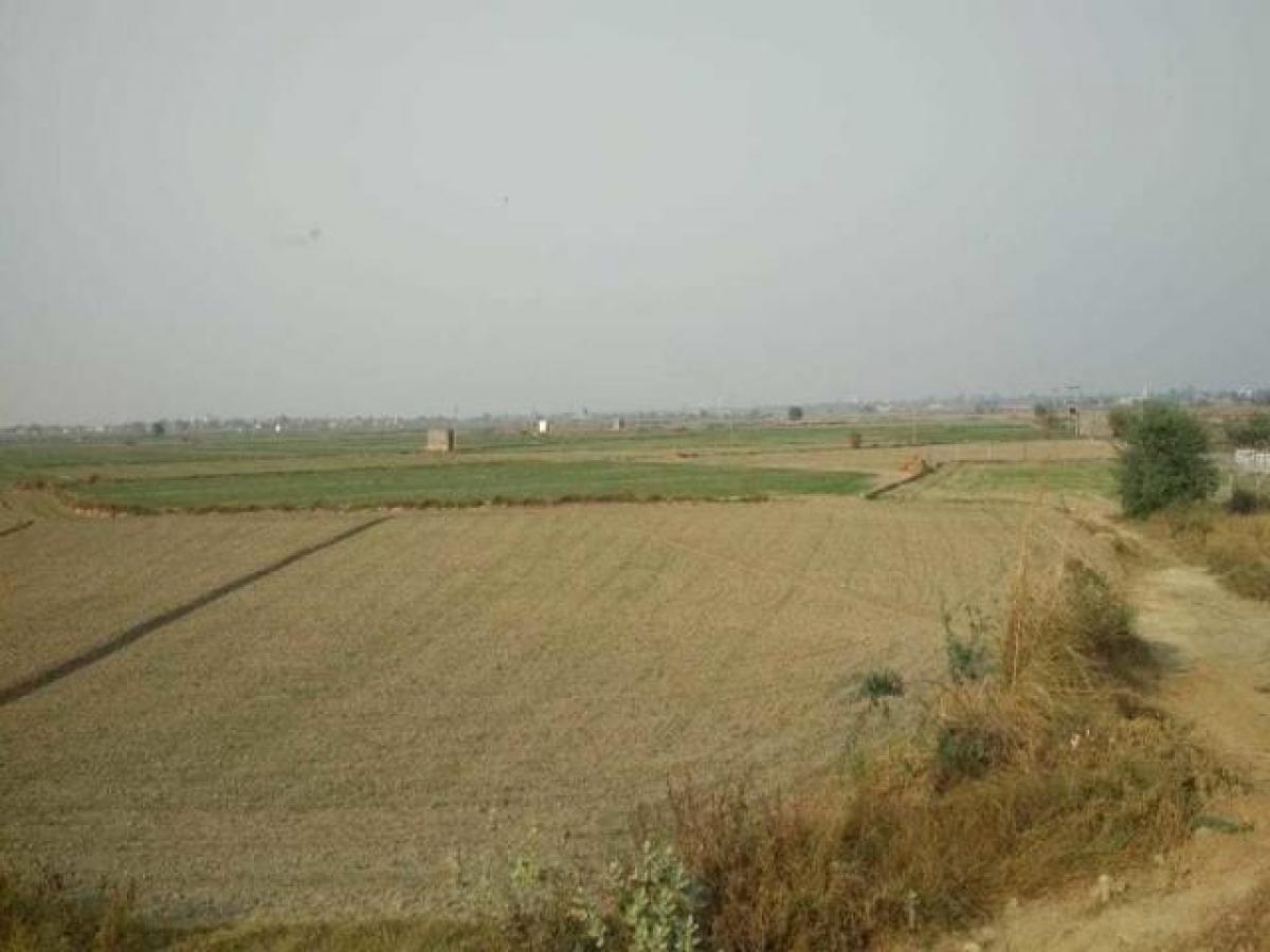  Land in Bulandshahr, India No. 33436