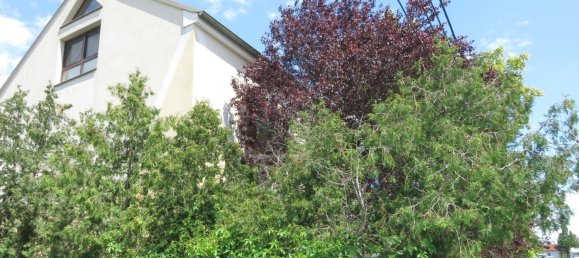 Terrain à Vienna, Austria 540m² No. 251250 8