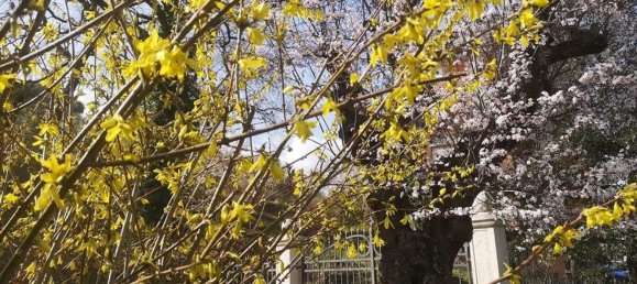 12 rooms Villa in Sinalunga, Italy No. 234581 2