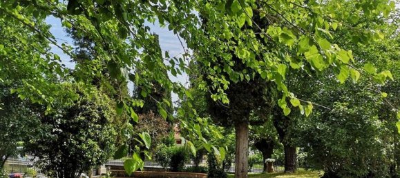 12 rooms Villa in Sinalunga, Italy No. 234581 13